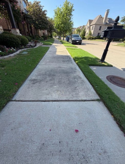 Crisp lawn edge along a sidewalk after edging