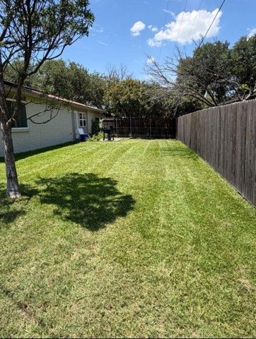 Manicured backyard lawn along a fence line